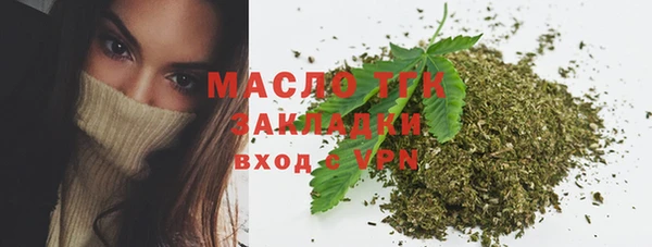 индика Верея