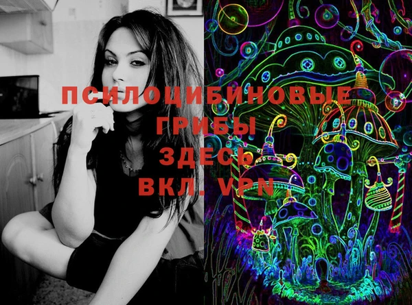 apvp Верхний Тагил
