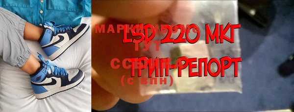 индика Верея