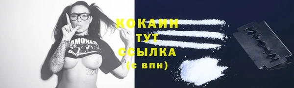 индика Верея