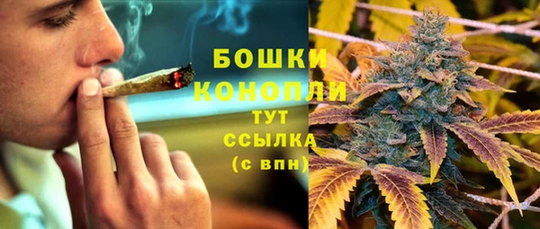 индика Верея