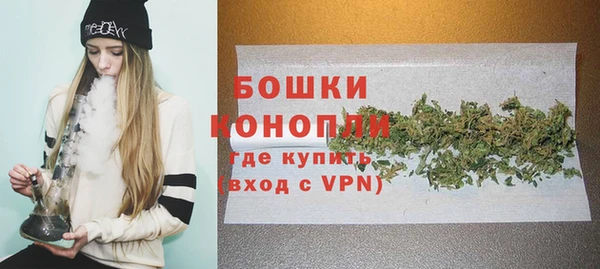 индика Верея