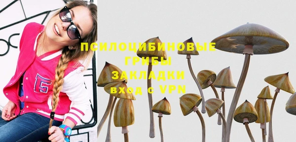 apvp Верхний Тагил