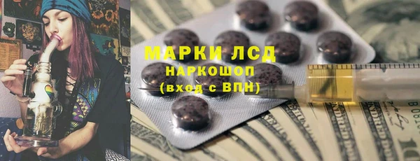индика Верея