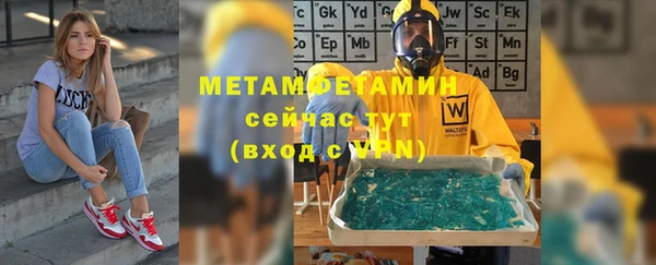 индика Верея