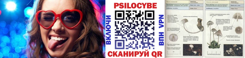 Галлюциногенные грибы мицелий  как найти   Щигры 